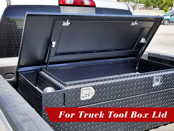 tool box lid struts