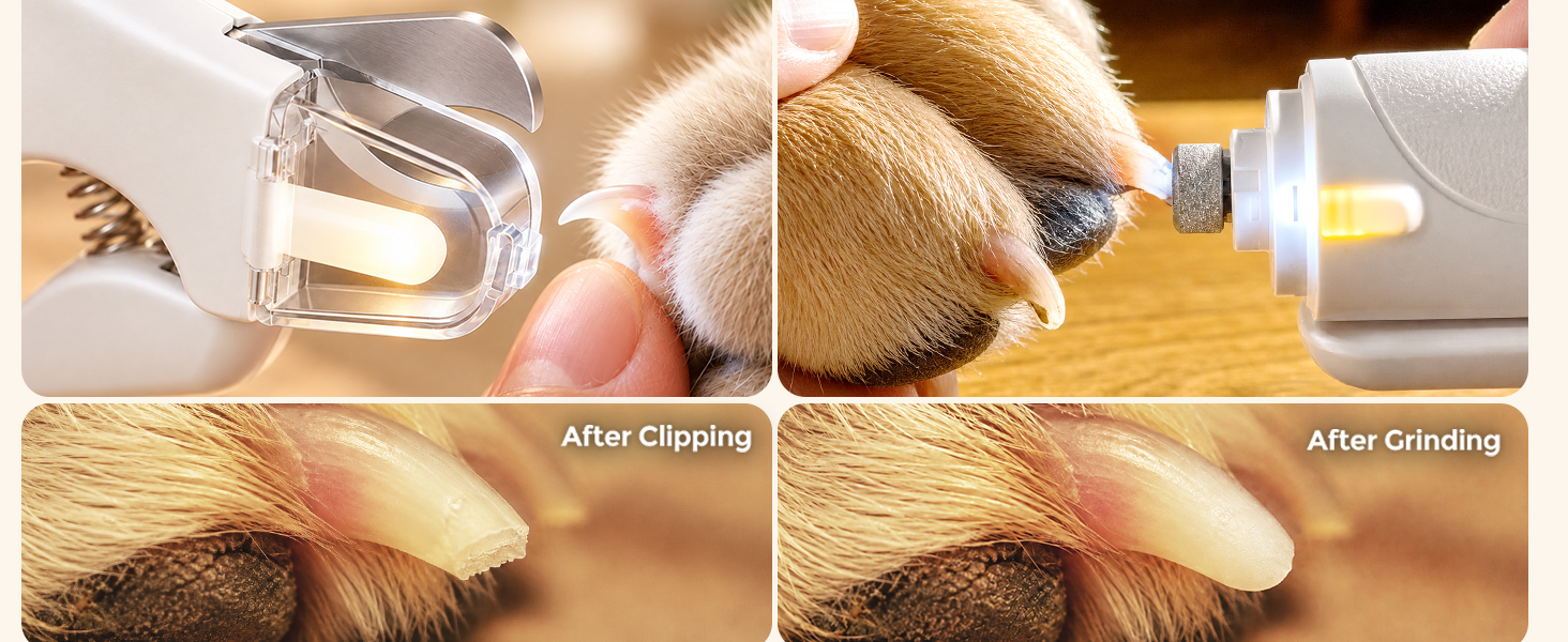 Beginner pet nail care steps: sniff and listen, trim small, smooth edges, then reward