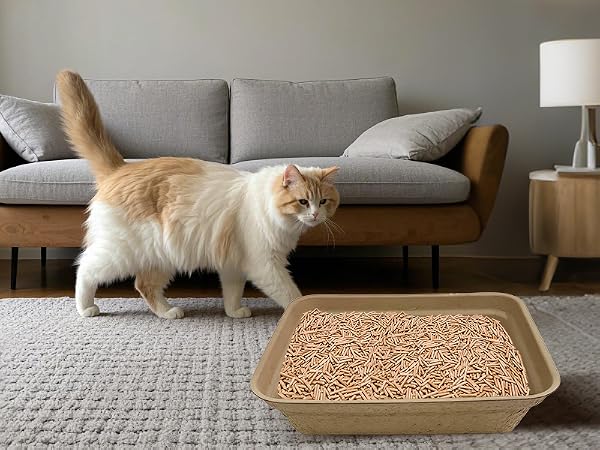 Litter Box Pans for Indoor Outdoor Home Travel Hamster Guinea Pig Rabbit, Waterproof and Portable