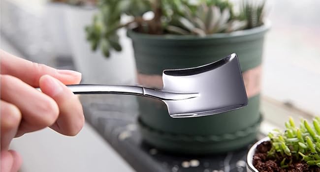succulent garden tools