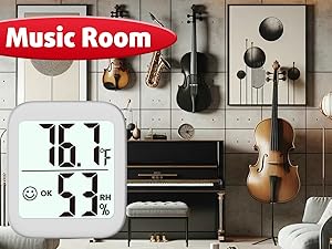 temperature and humidity monitors for guitar case