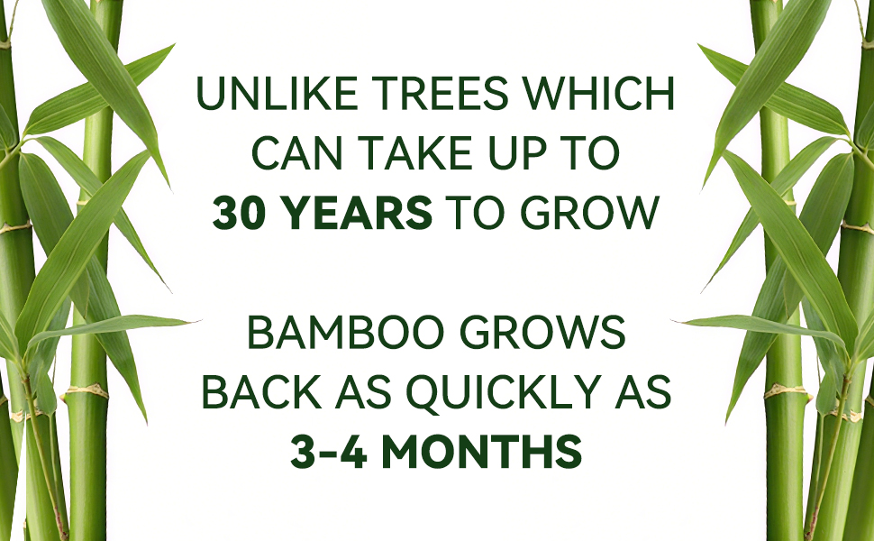 eco napkins