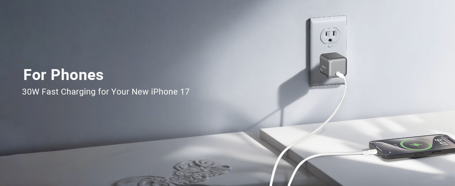 30W Wall Charger 2pc