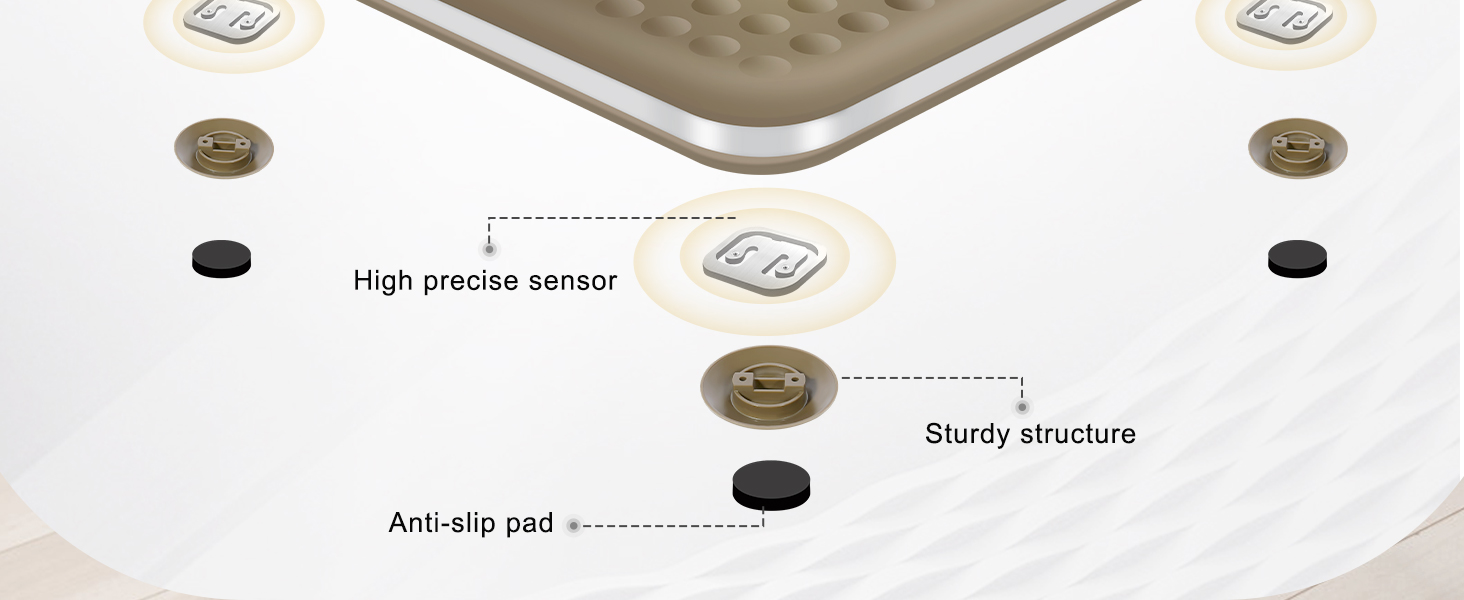 Digital Body Weight Scale