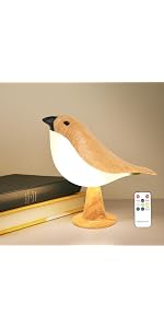 https://m.media-amazon.com/images/I/41c%2B%2BIrTSoL.__AC_SR150,300___.jpg