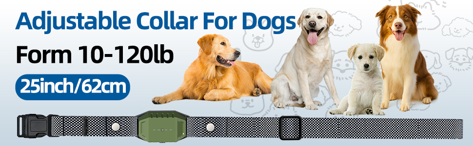 dog training collar