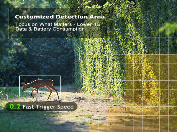 Customized Detection Area