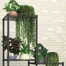 plant stand