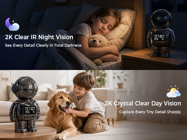 Day/Night Vision