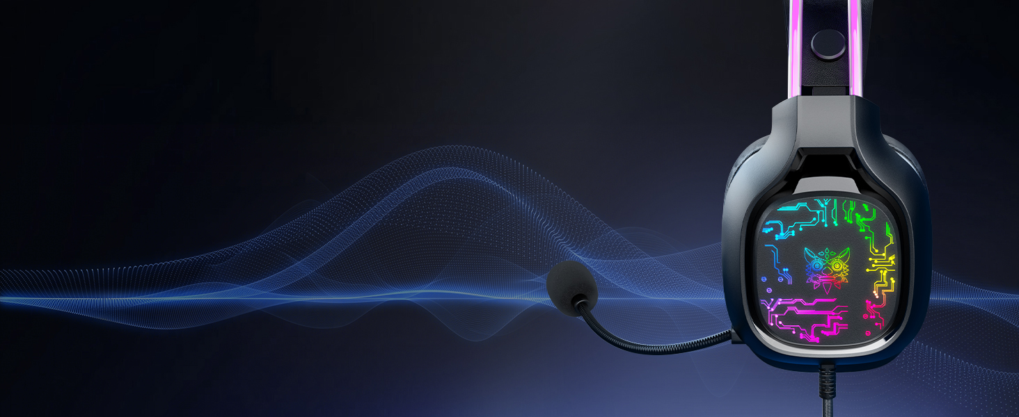 Adjustable microphone