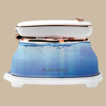 Travel Garment Steamers