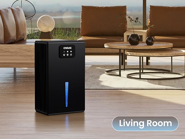 dehumidifier for living room