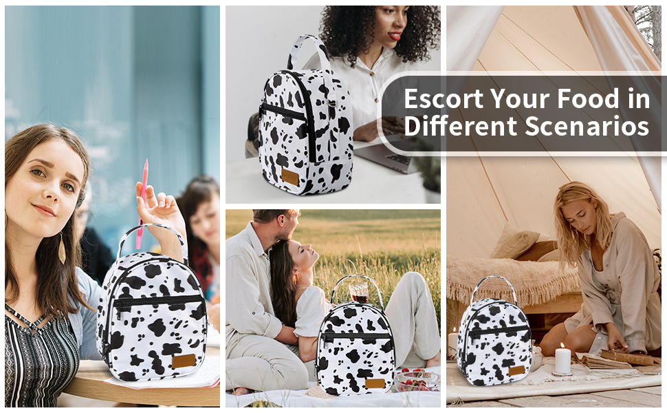 Insulated Lunch Bag