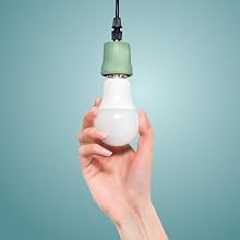 Insert bulb into fixture