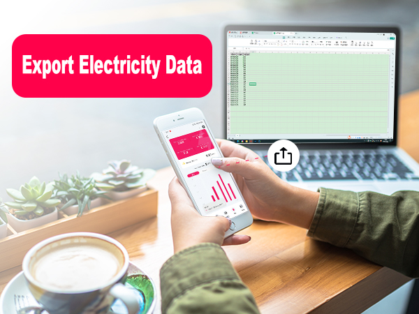 Export Electricity Data