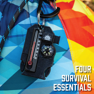 four survival essentials