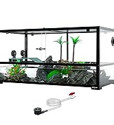 turtle tank