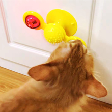 cat toys
