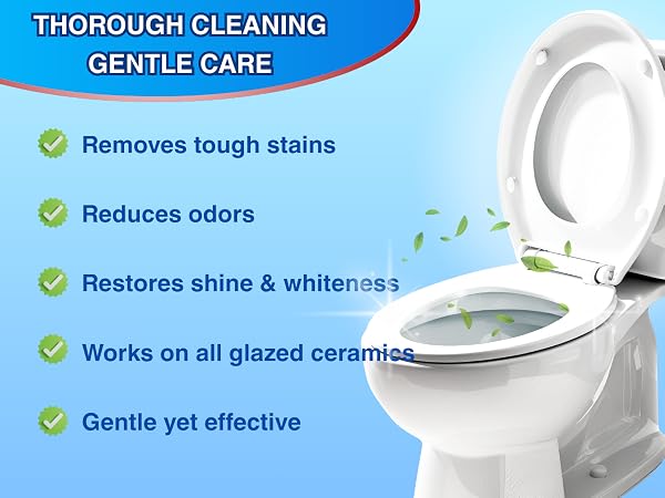 TOILET BOWL CLEANER TABLETS