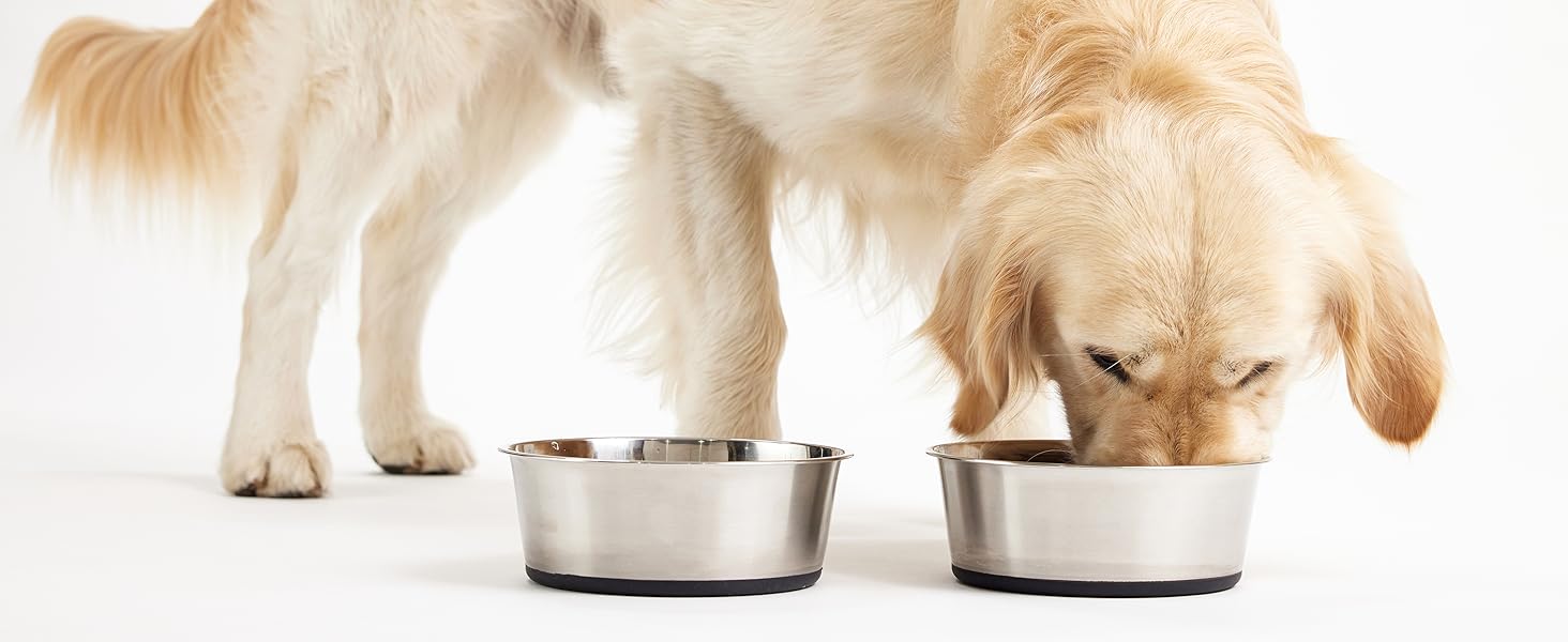 Dog bowls, dog water bowl, cat bowls