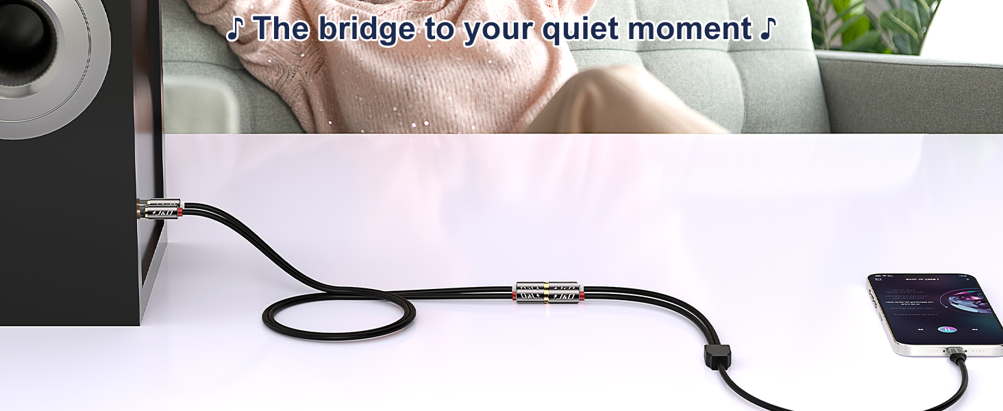 iphone to RCA audio cable