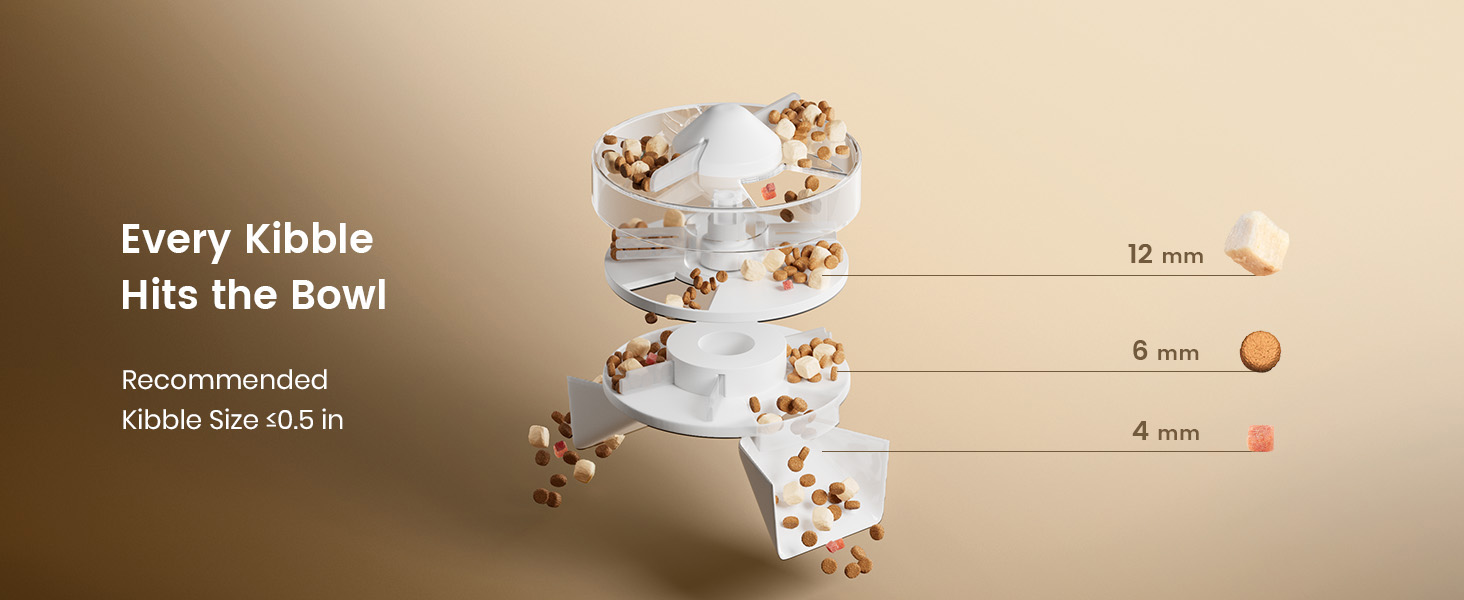 automatic cat feeder