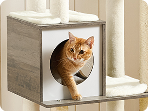 Modern cube-shaped cat house with a circular entrance. White exterior, wooden frame, and elevated design for feline comfort and style.