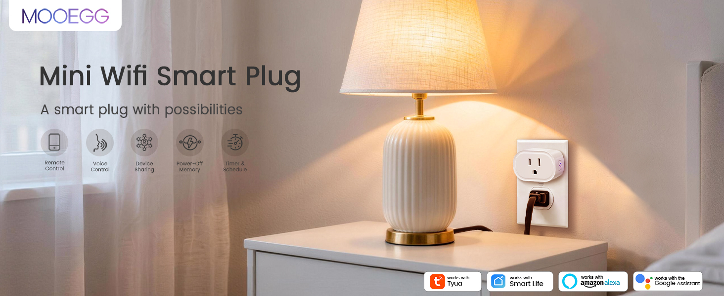 smart plug