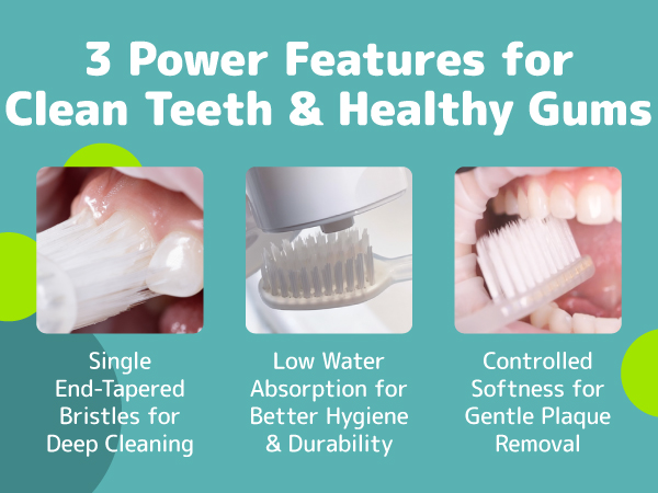 tooth brush for deep cleaning with low water absorption and controlled softness