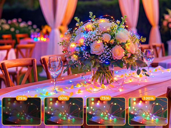twinkle lights plug in