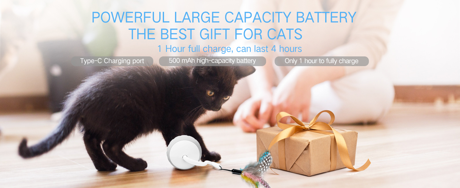 Cat Toys