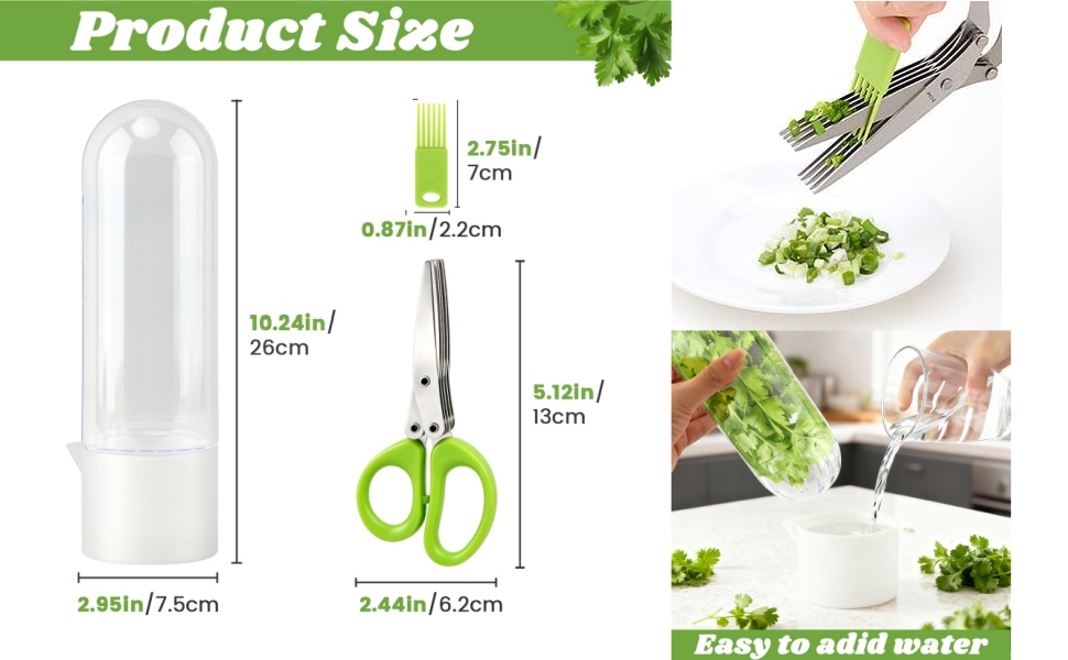 Cilantro Container for Fridge