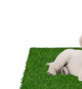 Dog Grass Pad with Tray