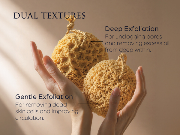 loofah sponge