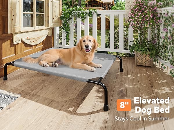 XL Dog Cot