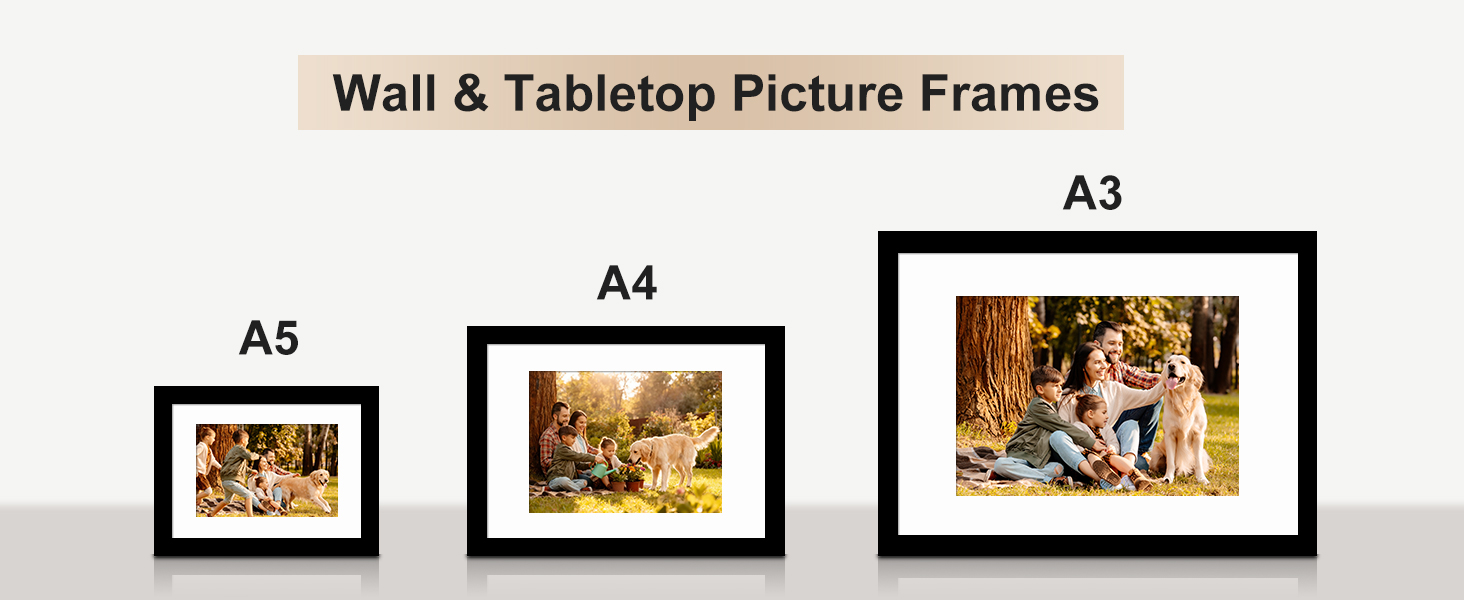 wall and tabletop picture frames