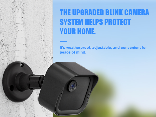 Blink Sync Module 2