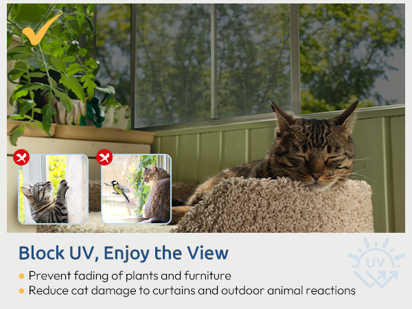 UV blocking window film