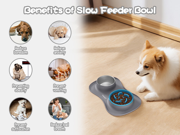 dog bowls small size dog, small dog bowls, slow feeder, slow feeder dog bowls large breed