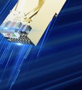 Cat 7 Ethernet Cable