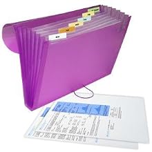 Letter Size Expanding File