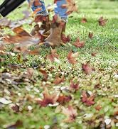 20V CORDLESS LEAF BLOWER WITH BATTERY AND CHARGER
