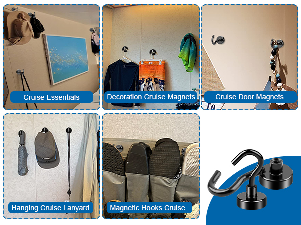 cruise magnets