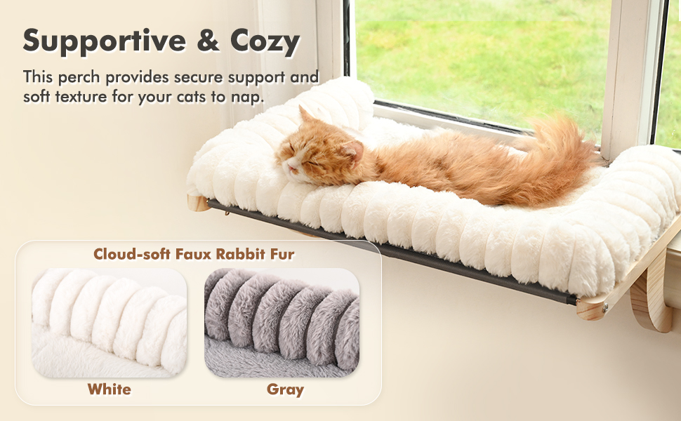 cat window perch
