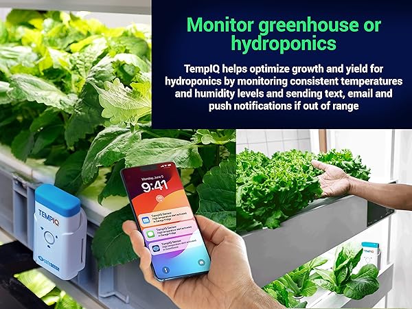 TempIQ Remote Wi-Fi Temperature and Humidity Sensor by SafeSense