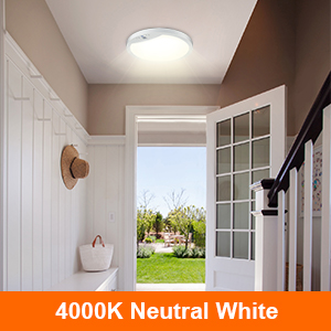 motion sensor ceiling lights
