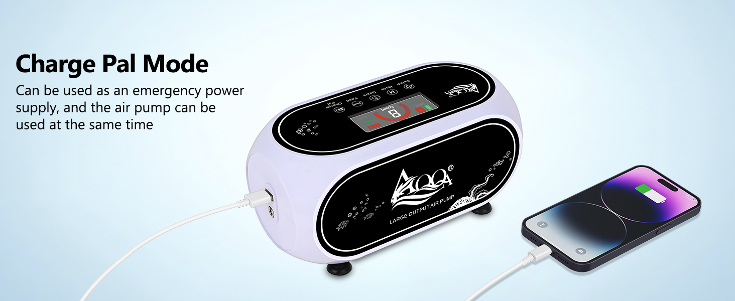 rechargeable air pump