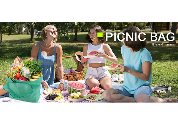 picnic bag