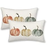 DAFENA Fall Pillow Covers 12x20 Inch 2 Pcs Watercolor Orange Green Cute Pumpkins Decor Throw Pill...
