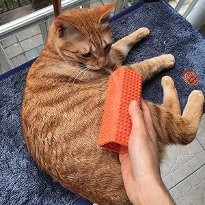 5 pet hair remover